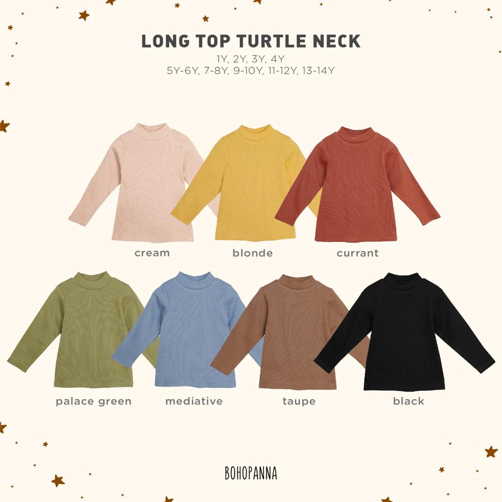 Long Top Turtle Neck Sweater